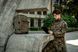 Рюкзак Mil-Tec Assault Pack Laser Cut Large 36 л - Olive 14002701 фото 8