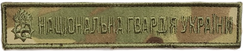 Шеврон-планка НГУ мультикам 22849 фото